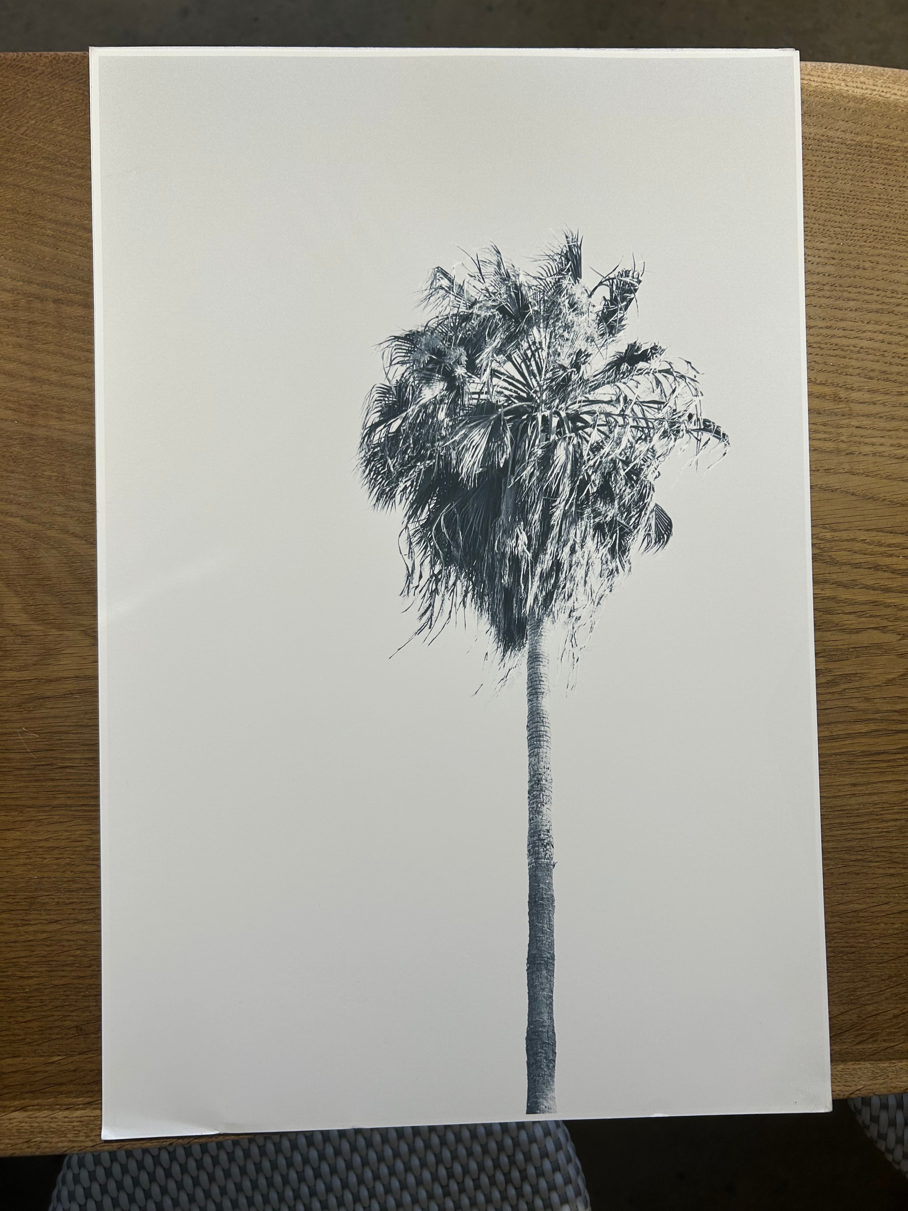 Market Print 12x18