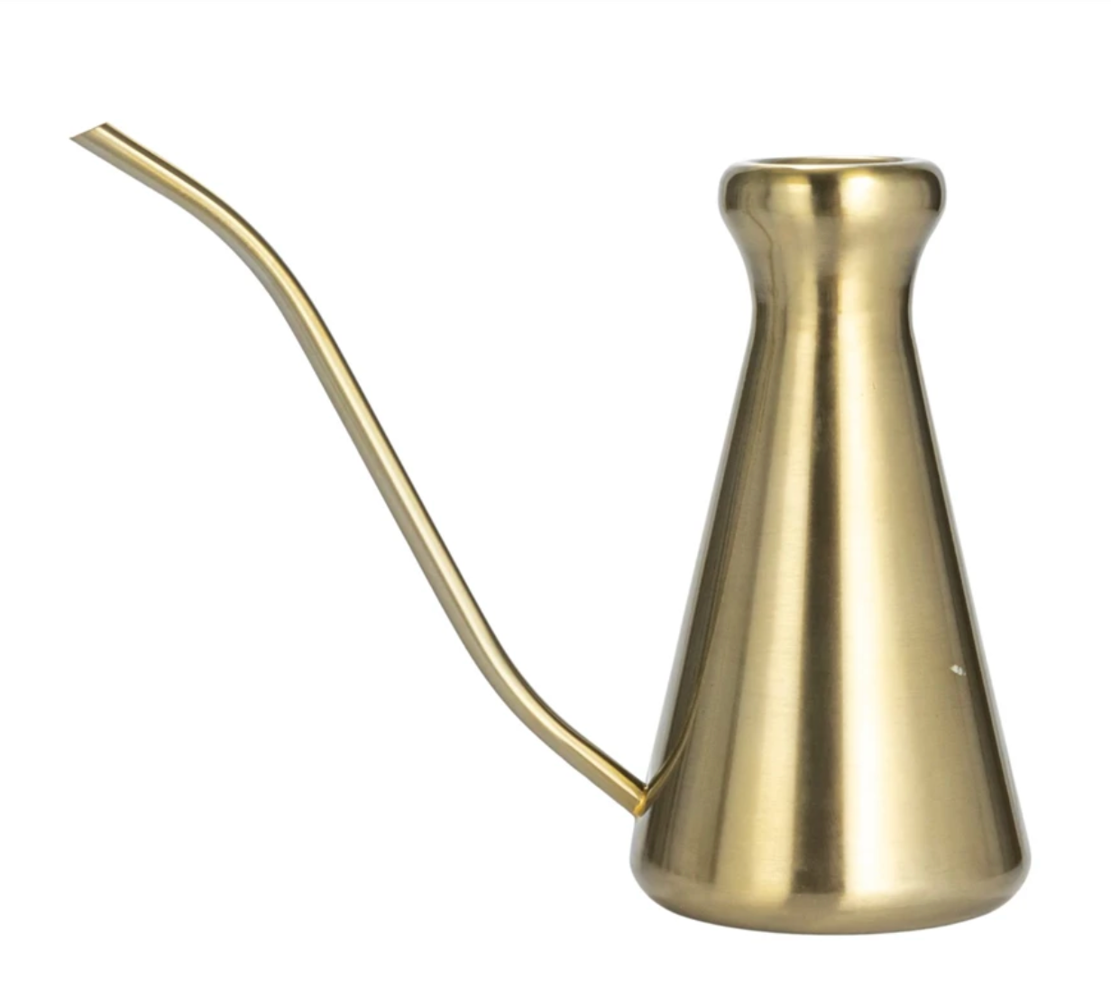 Stainless Steel Watering Can with Brass Finish