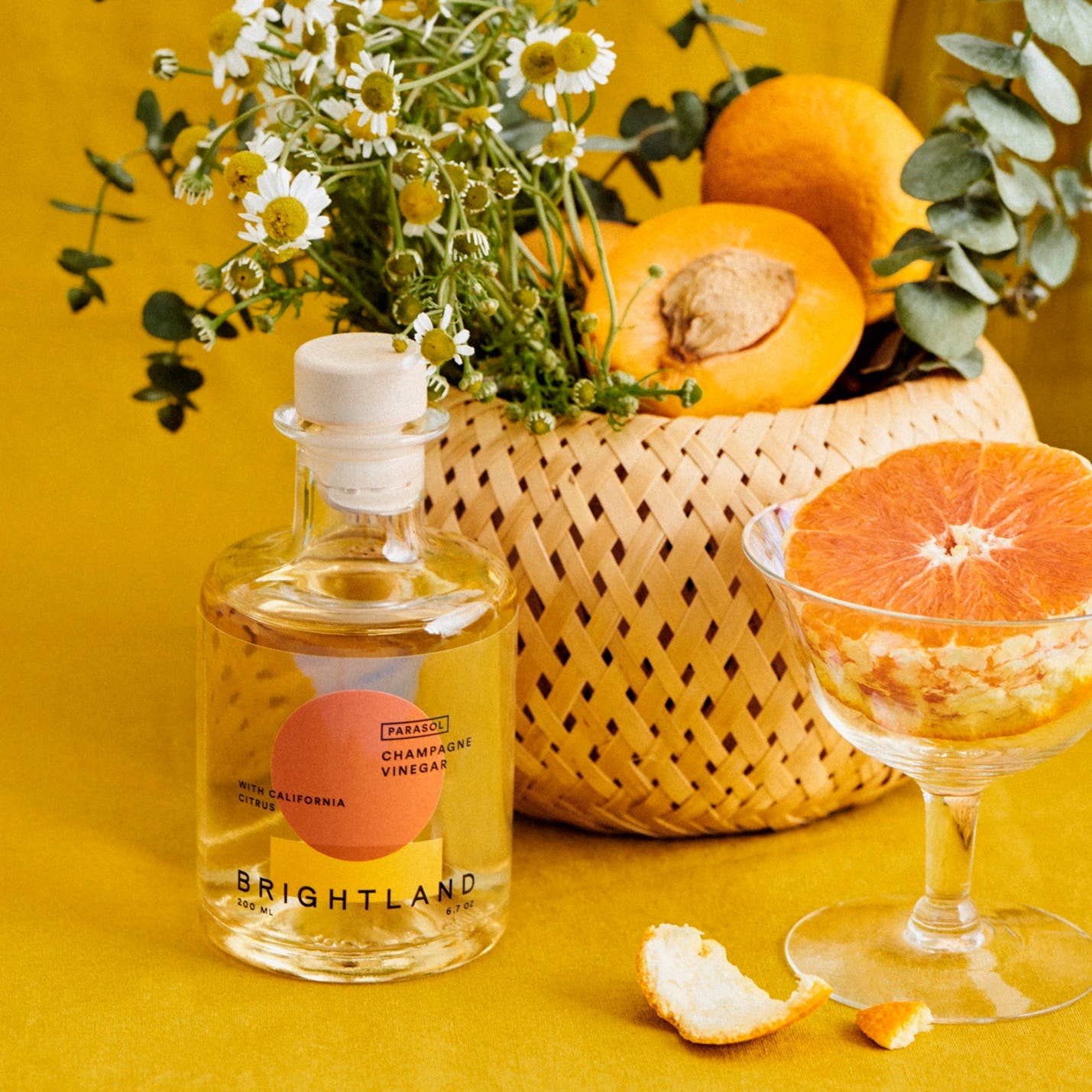 PARASOL Citrus Champagne Vinegar  or