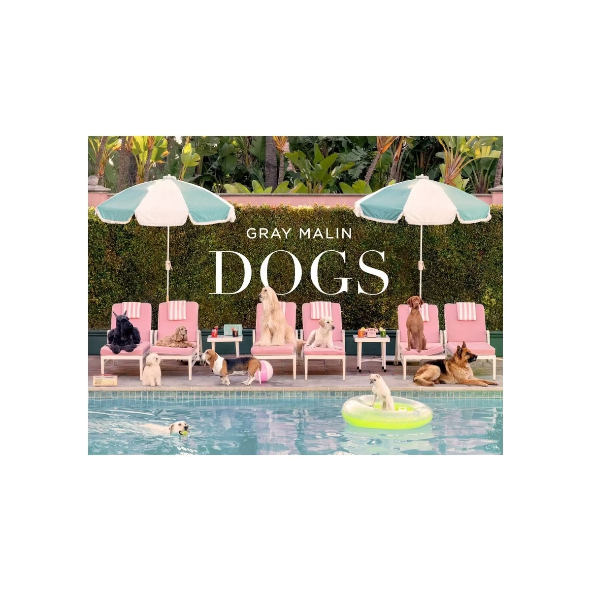 Gray Malin: Dogs