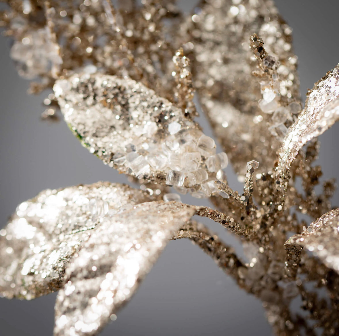 Champagne Fern Spray