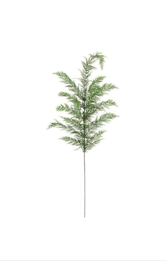 Dainty Cypress Spray