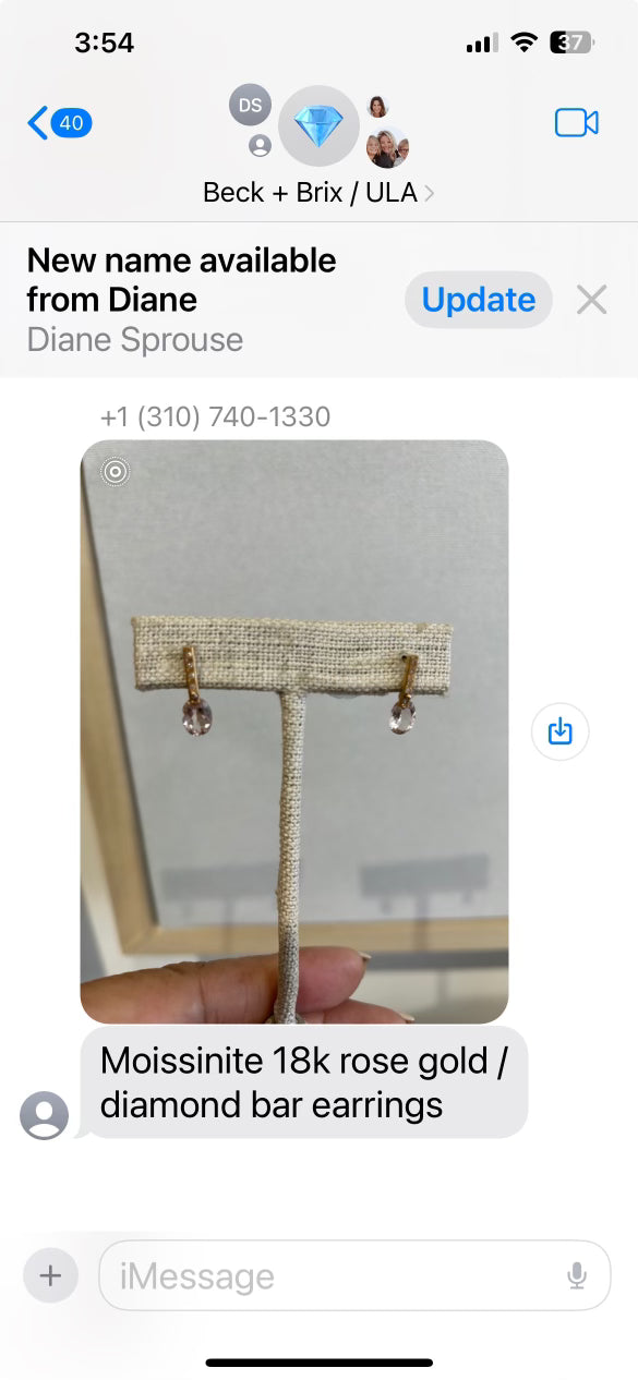 18K Rose Gold Moissinite Diamond Bar Earings