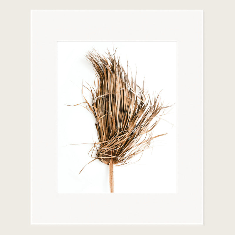 K Collective Original Matted Prints