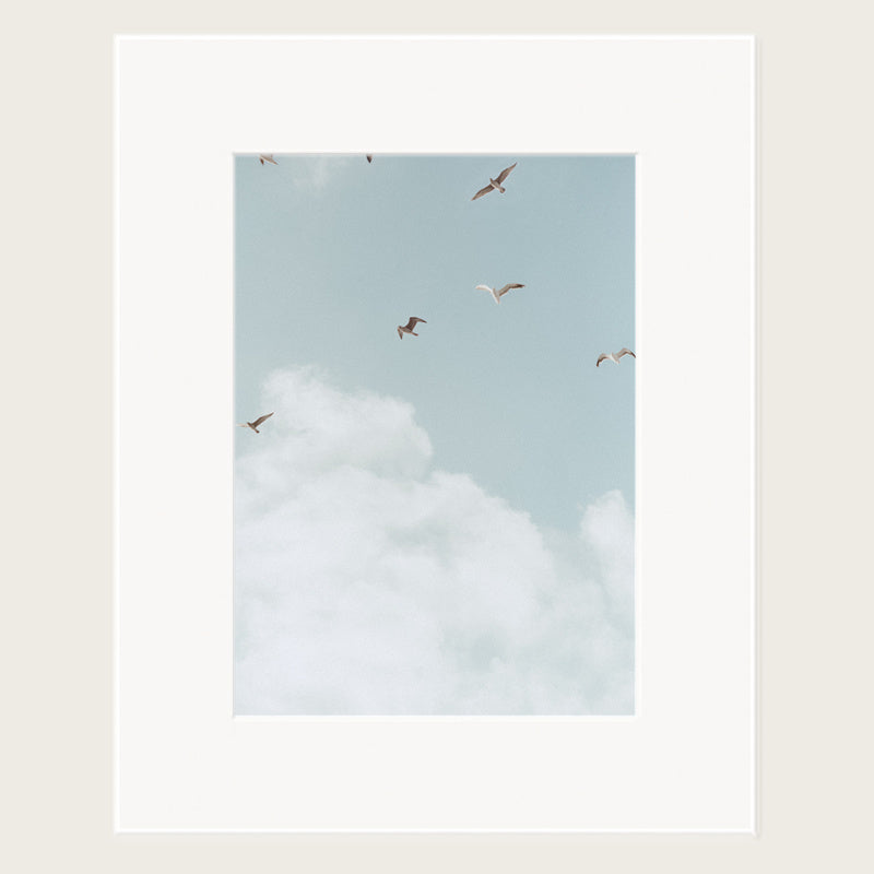 K Collective Original Matted Prints