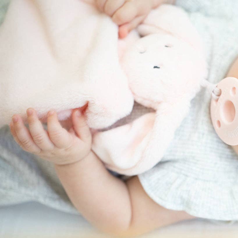 Pacifier Buddy