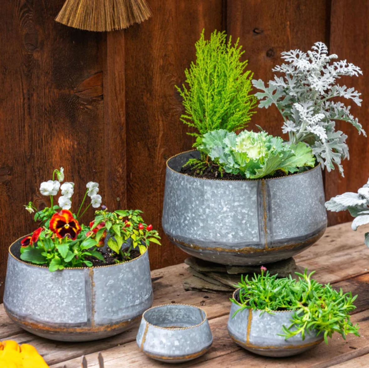 Galvanized Beaded Planters