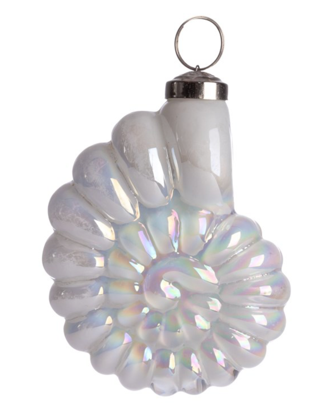 Nautilus Shell Glass Ornament