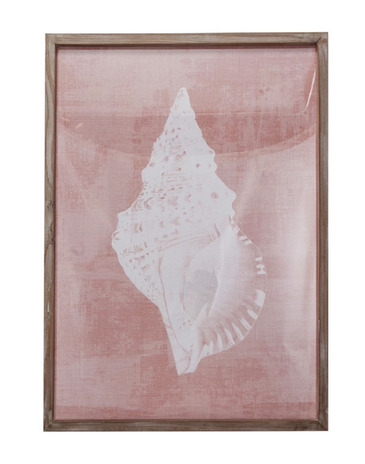 Conch Shell Image in Wood Frame with Glass