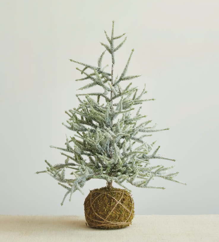 Spruce Tree with Moss-ball Base