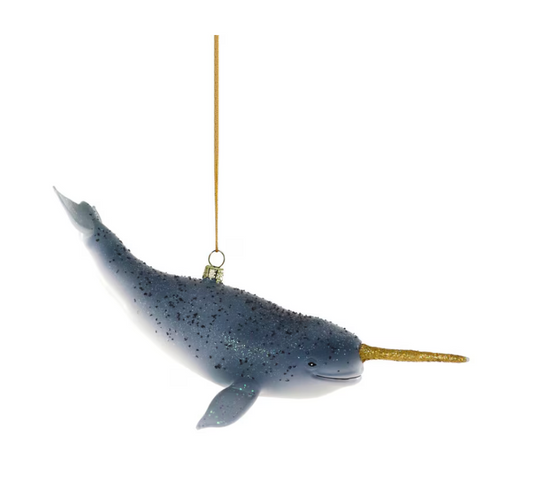 North Pole Narwhal