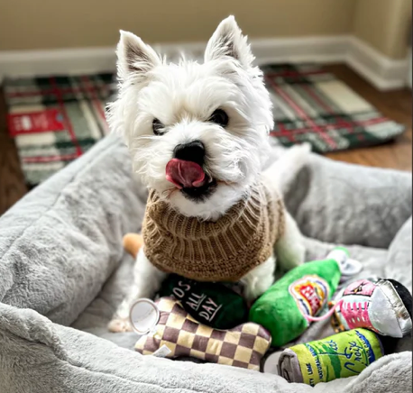 Haute Diggity Dog Chew Toys