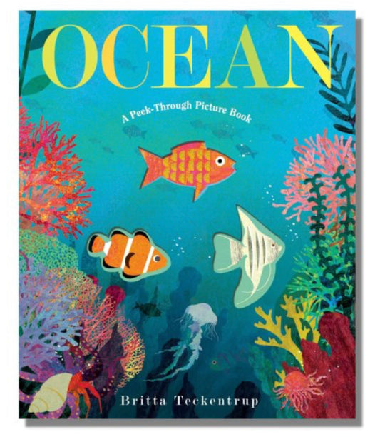 Ocean: A Peek-Through Picture Book