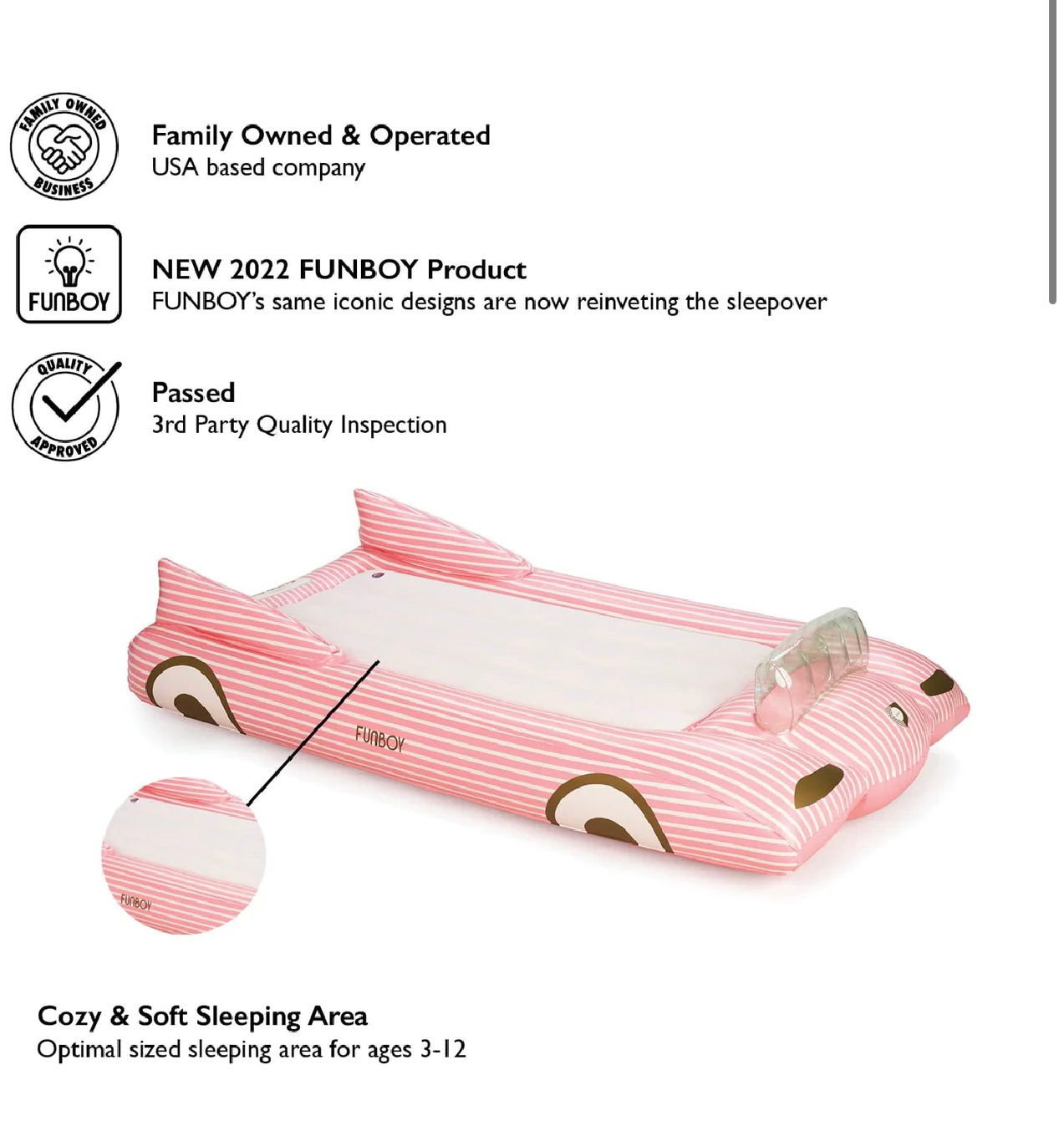 Convertible Kids Sleepover Air Mattress